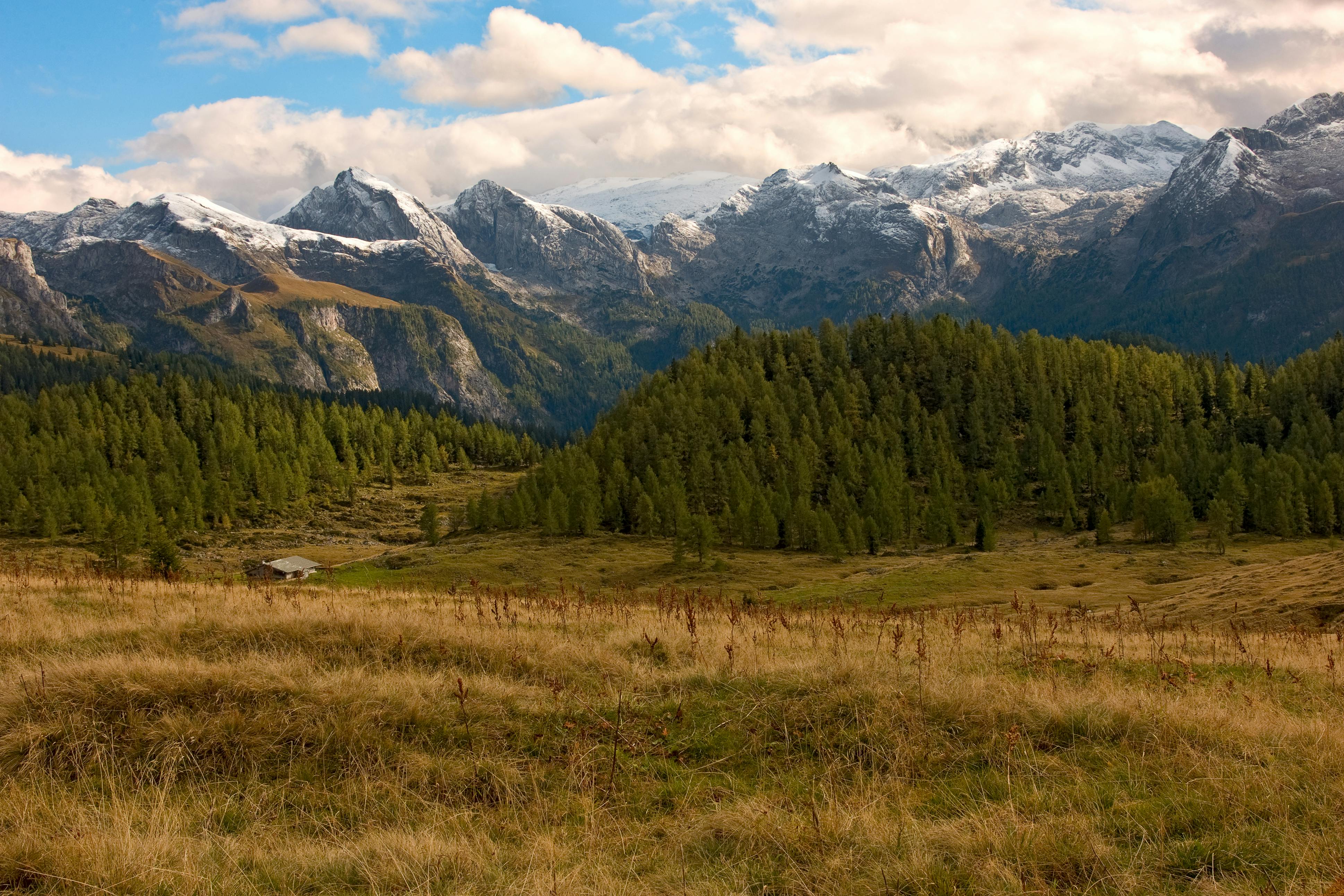 Khám phá Thế giới Giải trí Trực nhỏ đường cũng như https//w88w.social/ - Cơ hội cũng như Thách thức