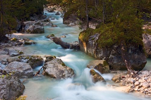 Free Tranquil alpine river cascading through stones in a lush forest setting, ideal for nature lovers. Stock Photo