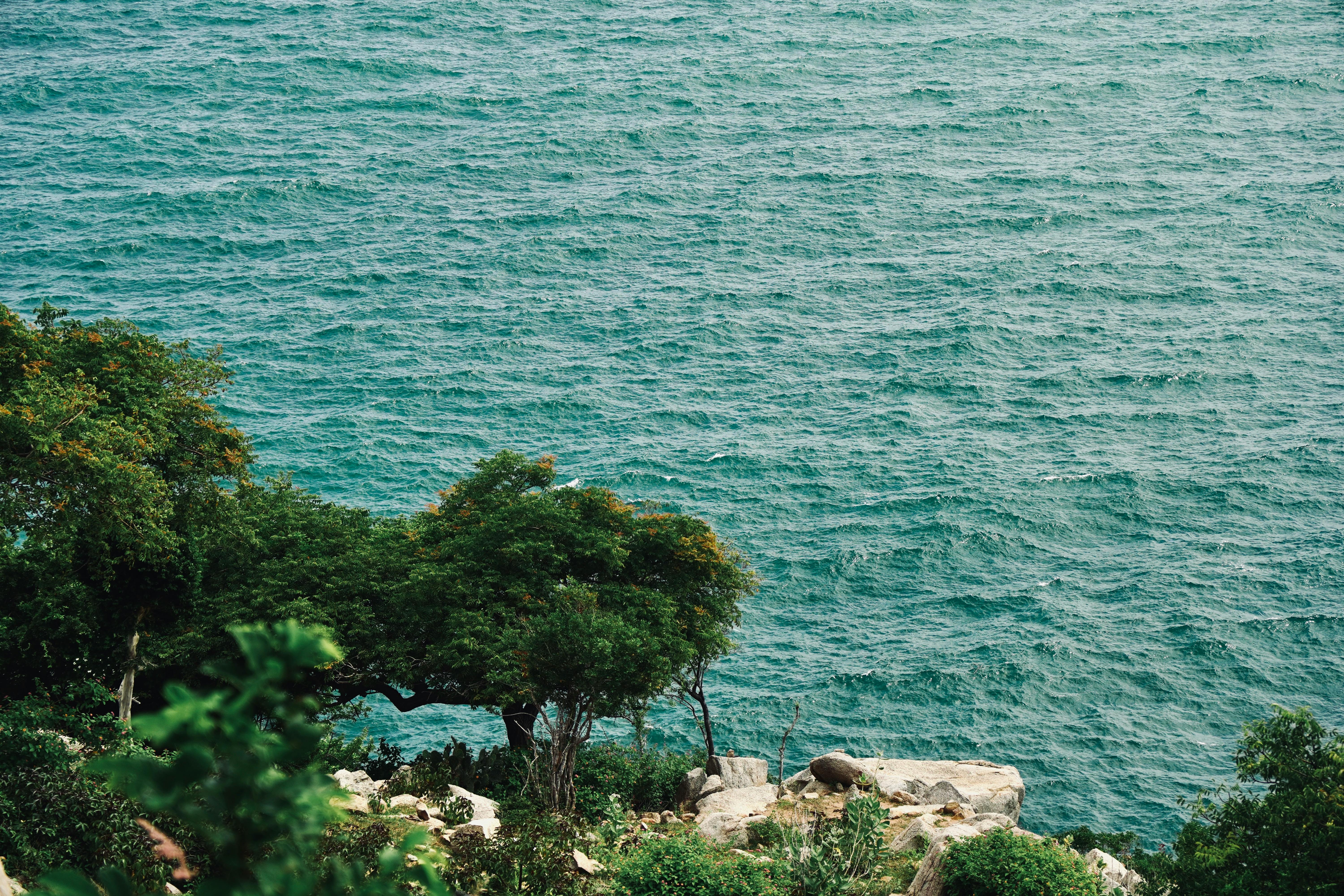 A More Troubling Picture of Sea Level Rise Is Coming into View — Photo by Tuan Vy on Pexels