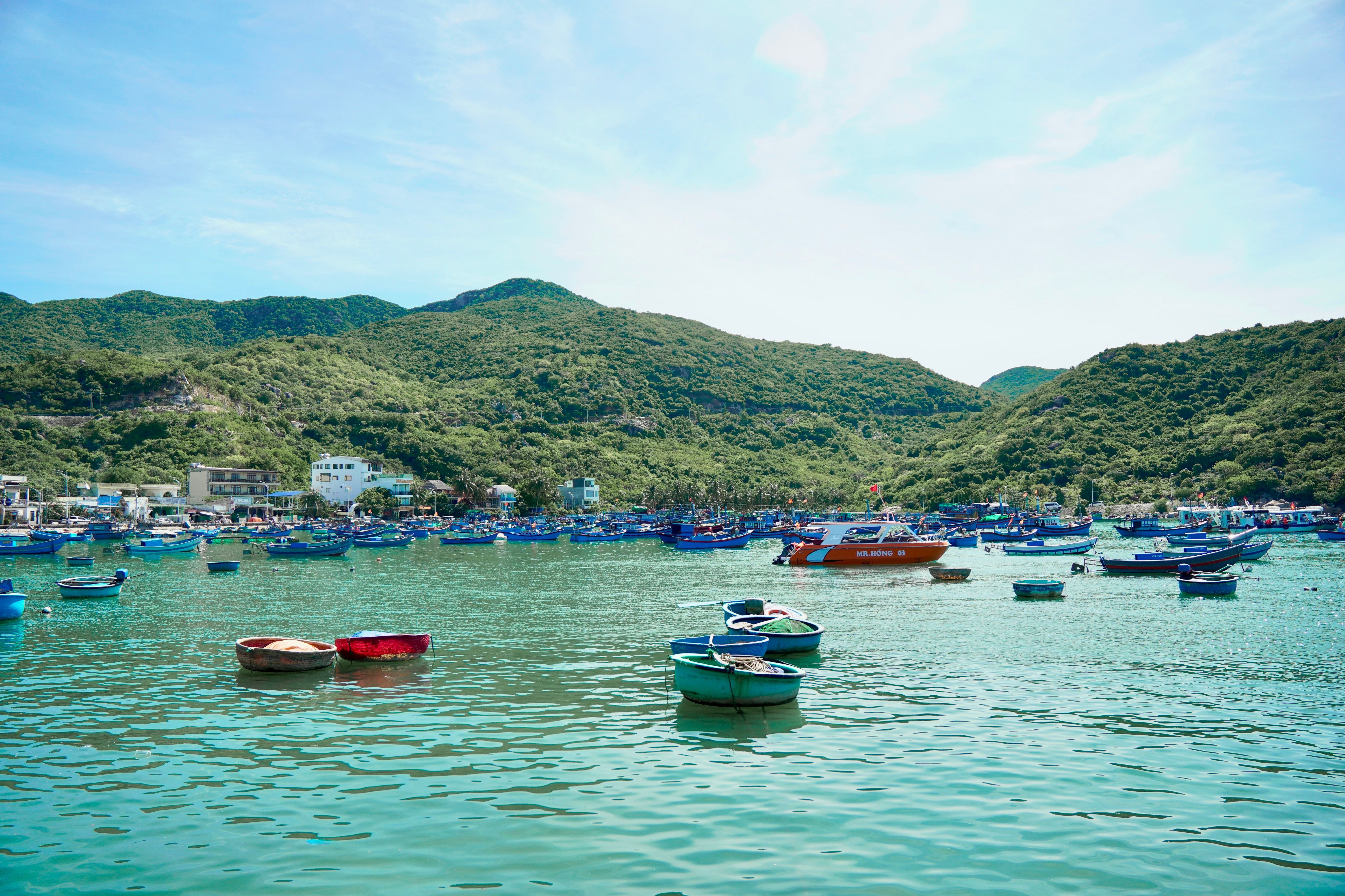 Scenic Harbor with Colorful Boats in Tranquil Bay · Free Stock Photo