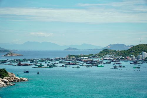 Free A vibrant harbor scene with numerous boats and distant mountains under a clear blue sky. Stock Photo