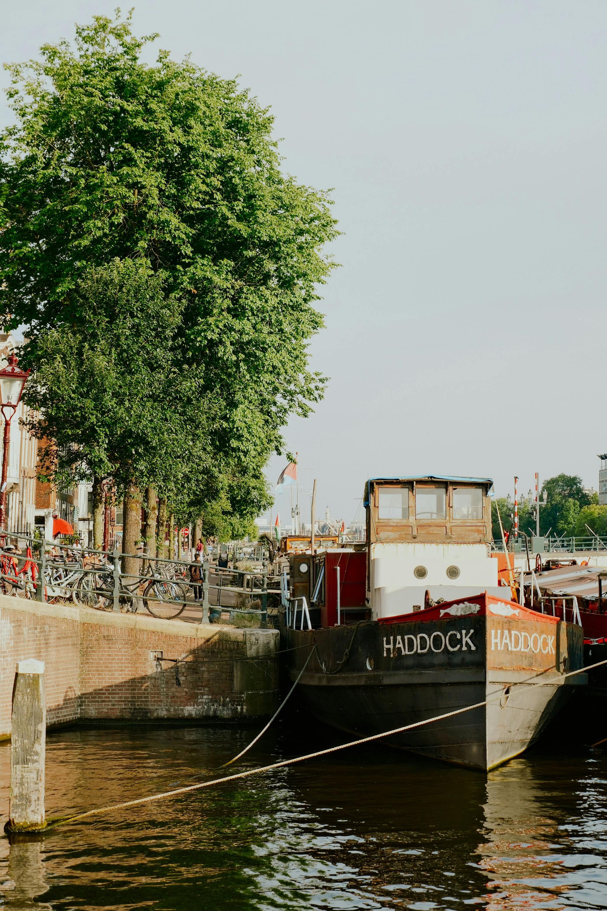 Amsterdam & Surroundings travel photo 2