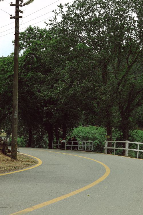 Free A peaceful winding road surrounded by lush green trees, perfect for nature lovers. Stock Photo