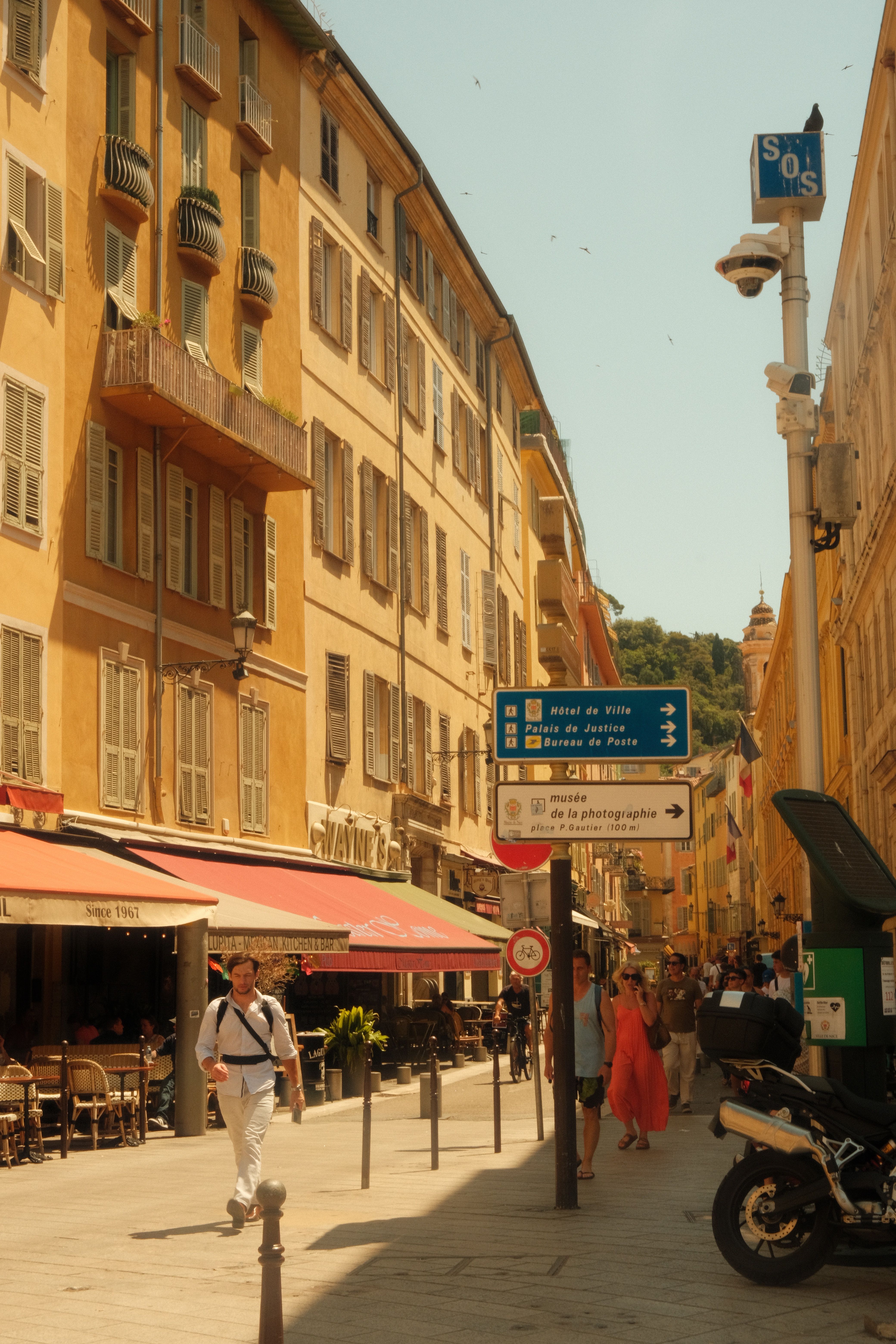 Couverture : Settling into Nice: a practical guide