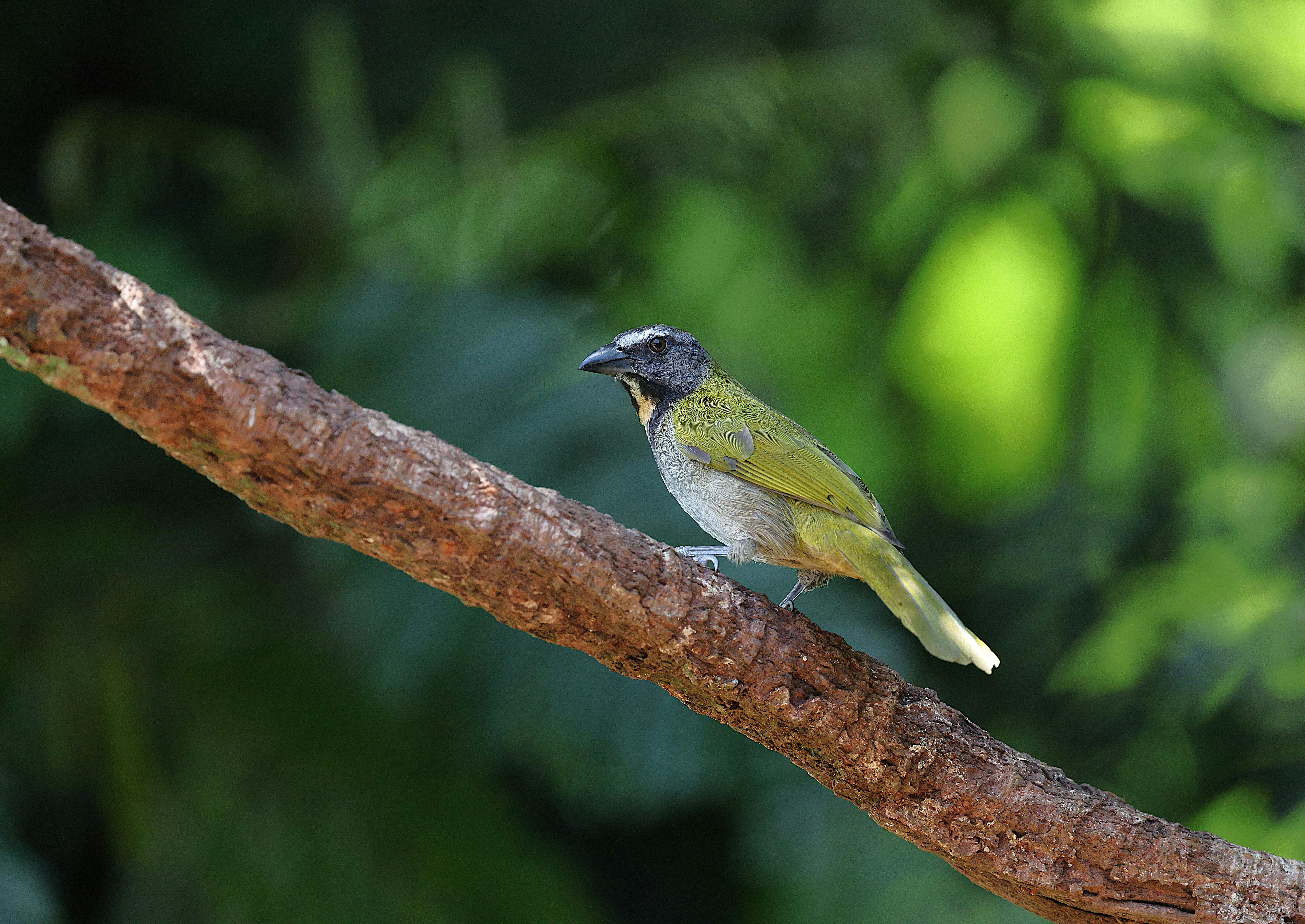 Gandoca-Manzanillo Wildlife Refuge, Costa Rica - travel photo