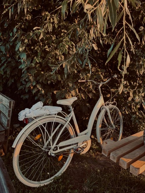 Free A vintage white bicycle leaning against a rustic bench in a lush garden setting. Stock Photo