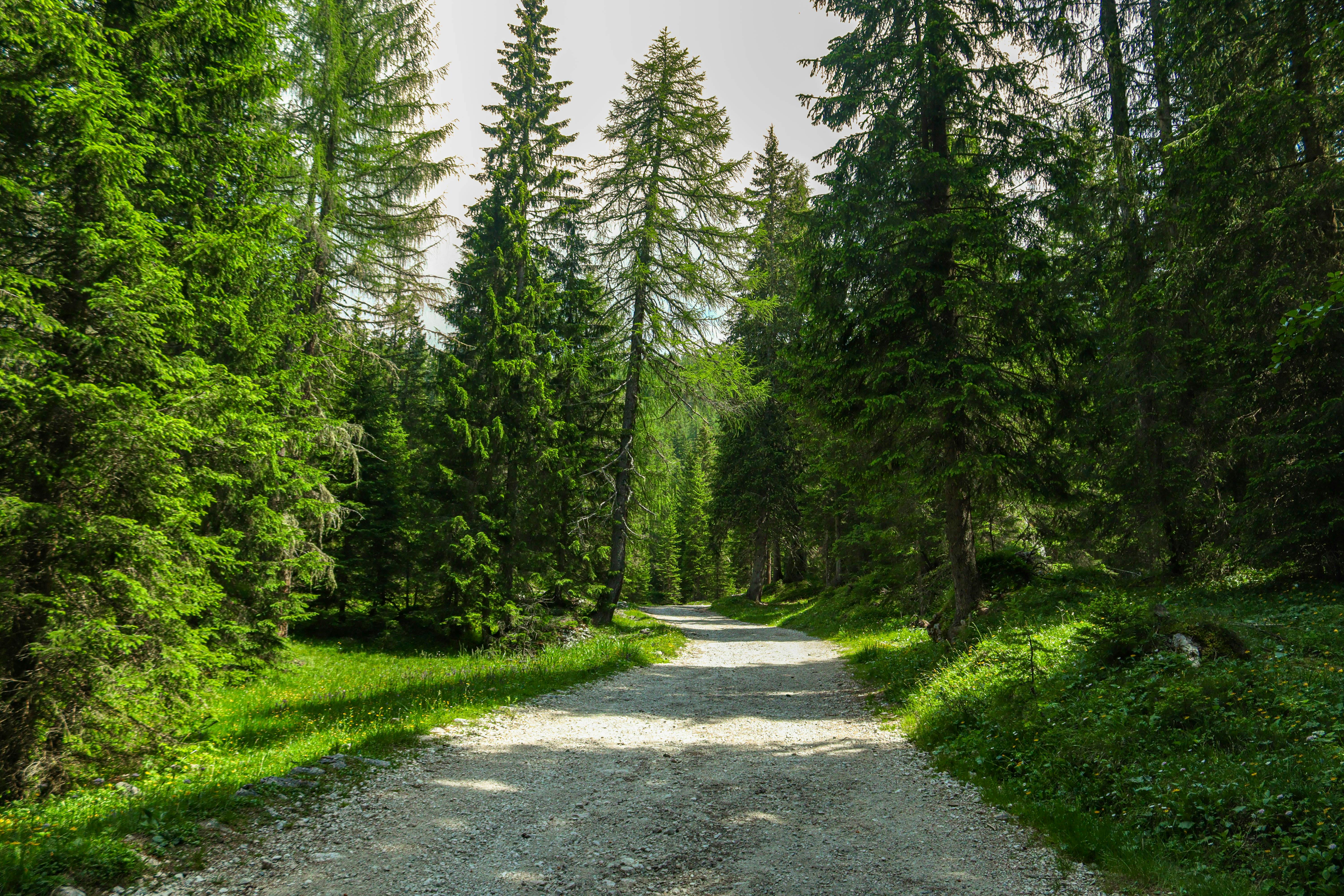 Healthspan White Paper: The Data-Driven Path to Longevity — Photo by Lorenza Magnaghi on Pexels
