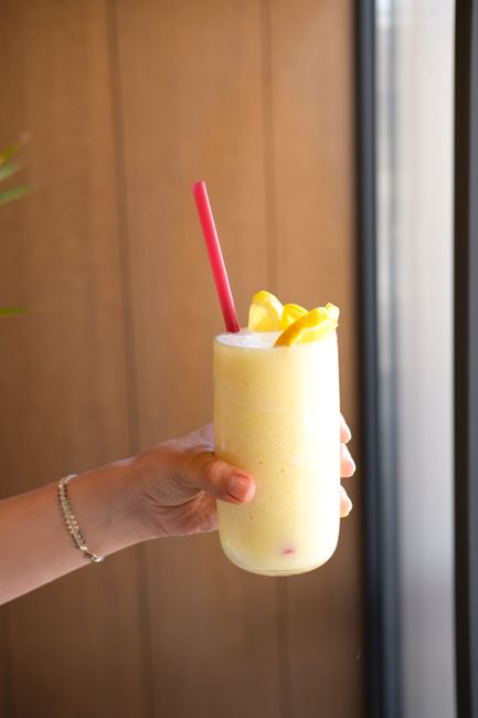 Top Picks for Smoothie Perfection: Our Recommended Models