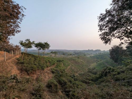 Free Breathtaking view of a tranquil countryside with rolling hills and lush greenery during sunrise. Stock Photo