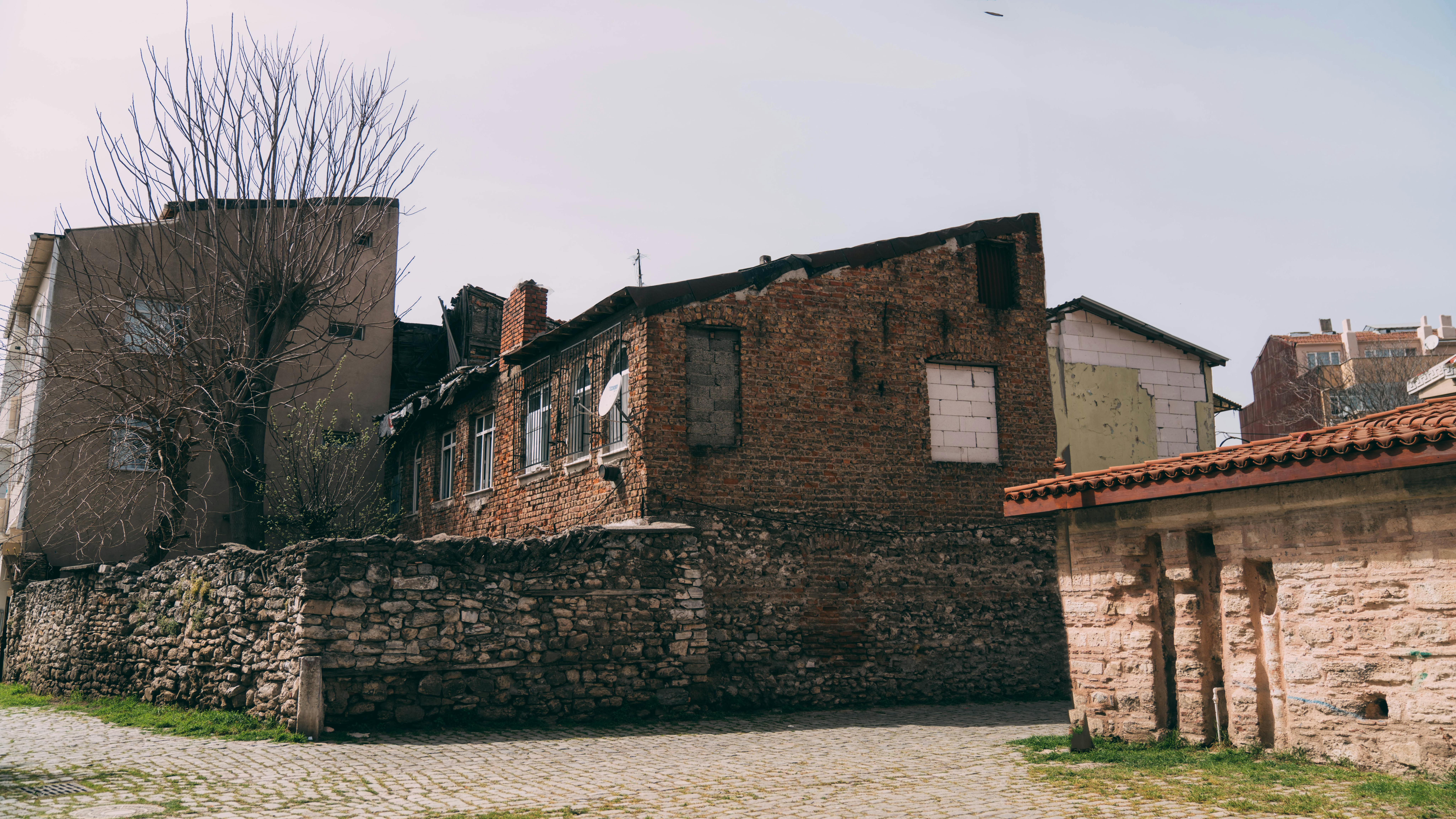 Ancient Aphrodisiac Herbs Making a Comeback in Modern Scents