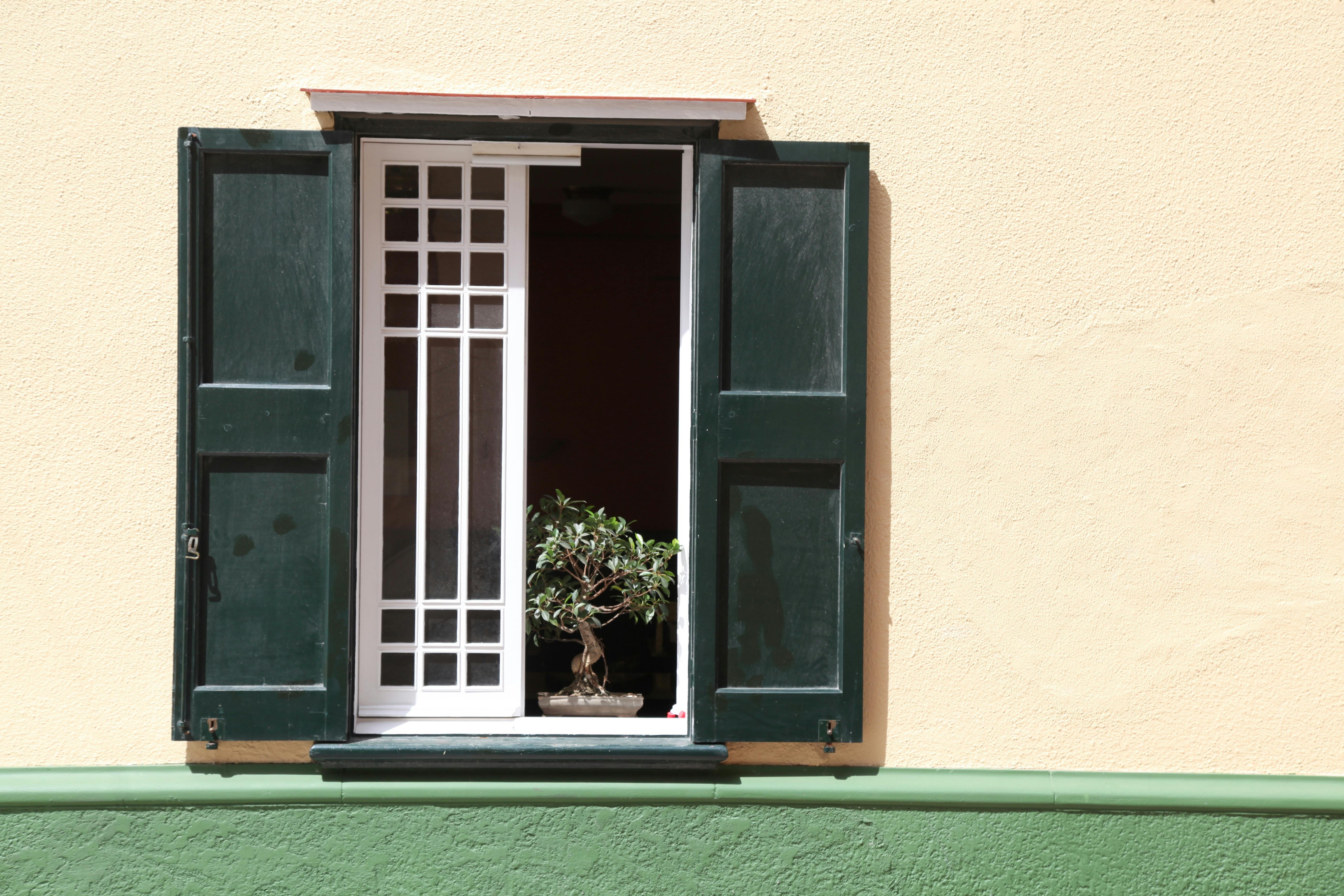A charming, rustic scene featuring an open window with dark green wooden shutters set against a textured, light yellow wall. A small bonsai tree sits on the windowsill inside the white-framed glass door. 