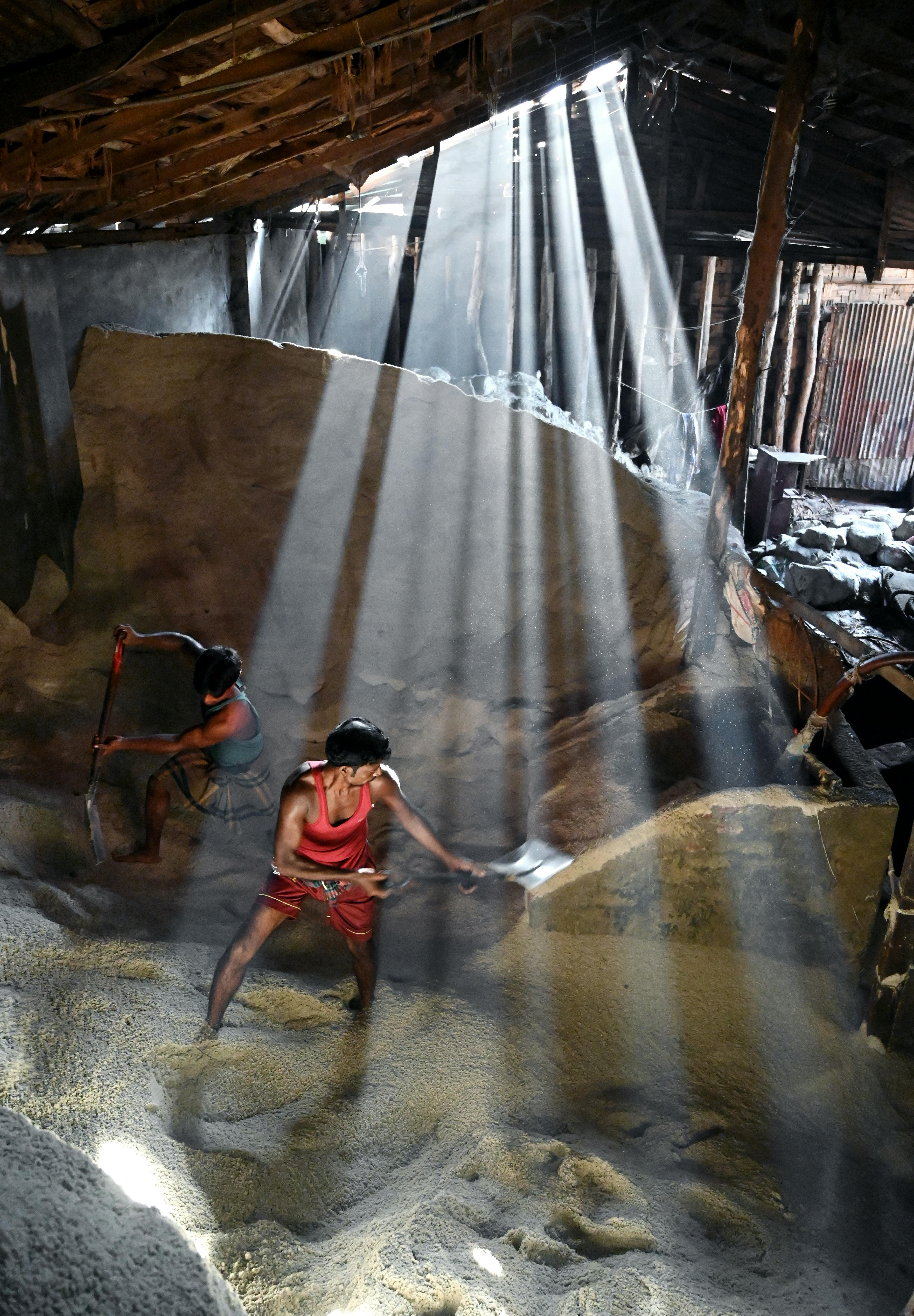 What kind of pubic hair do guys like best?