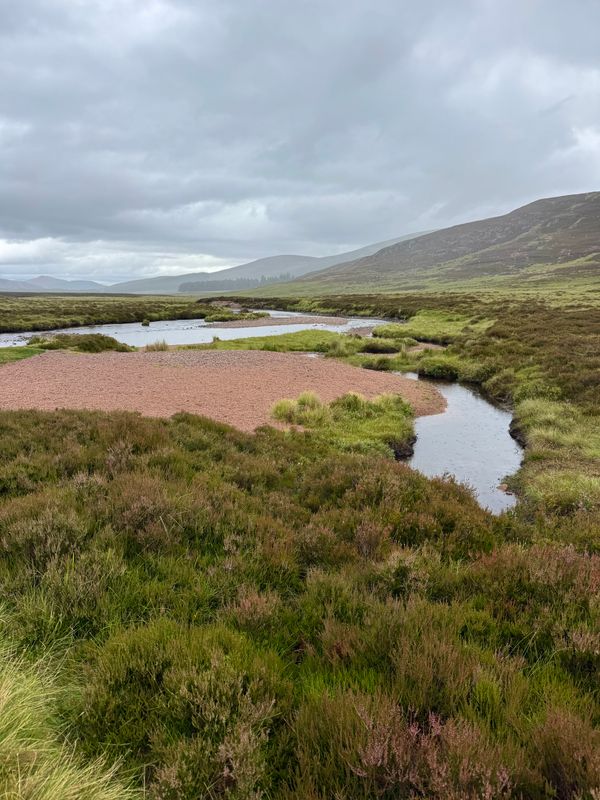 Open Scottish moorland with green vegetation and small pools beneath a cloudy sky