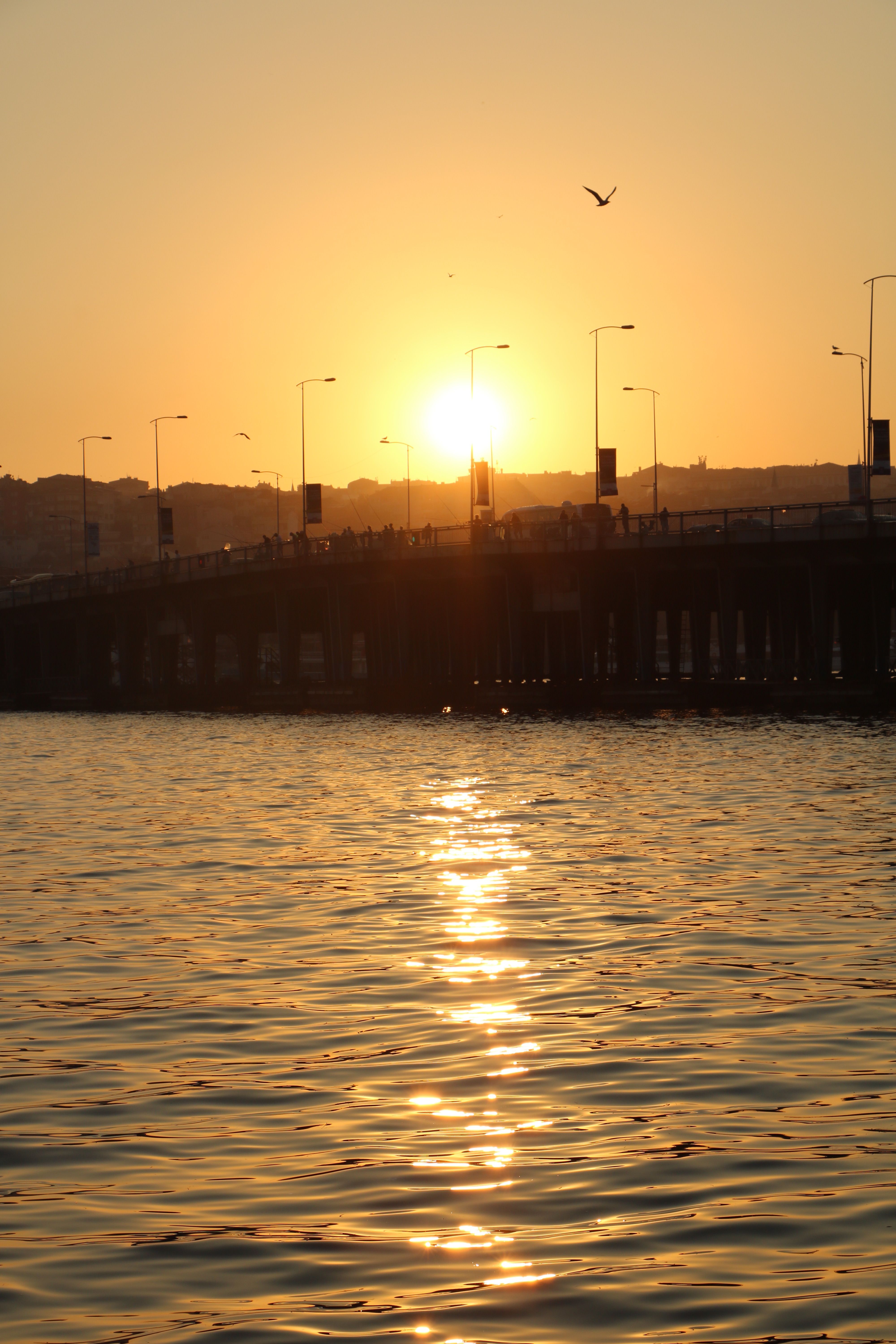 Serene Sunset Over Water Bridge · Free Stock Photo