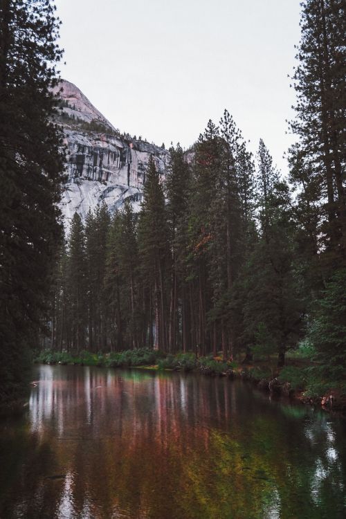 Free Captivating river scene with towering trees in Yosemite National Park, California. Stock Photo
