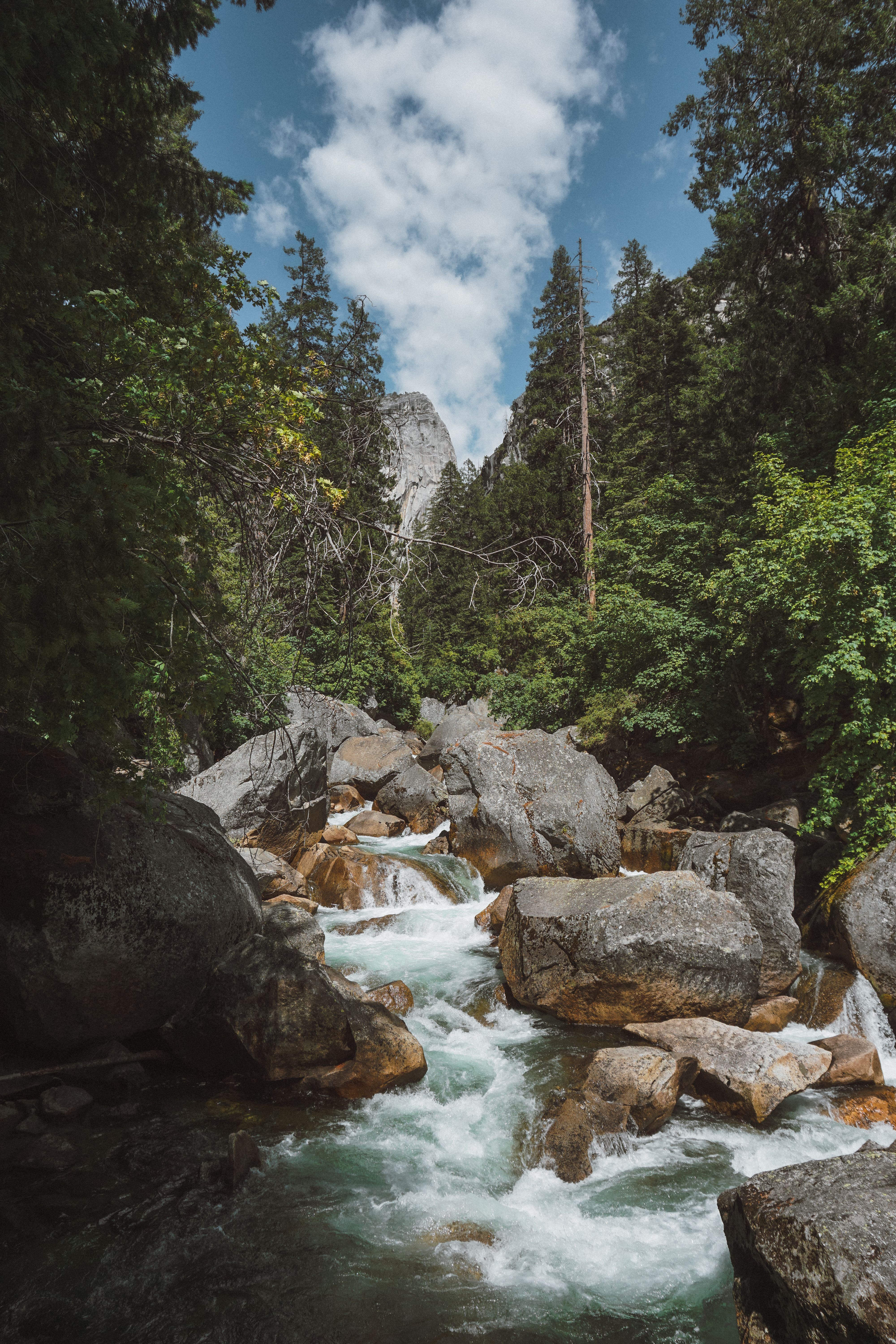 Fotomural Vista serena de un río que fluye a través de rocas y árboles en el valle de Yosemite, California.