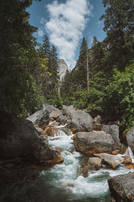 Fotomural Vista serena de un río que fluye a través de rocas y árboles en el valle de Yosemite, California.