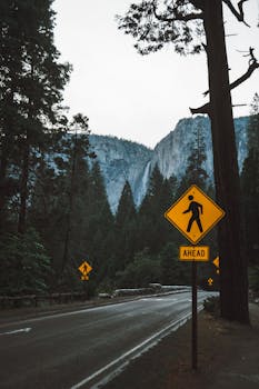 A scenic road in Yosemite National Park with a pedestrian crossing sign amidst towering pines.
