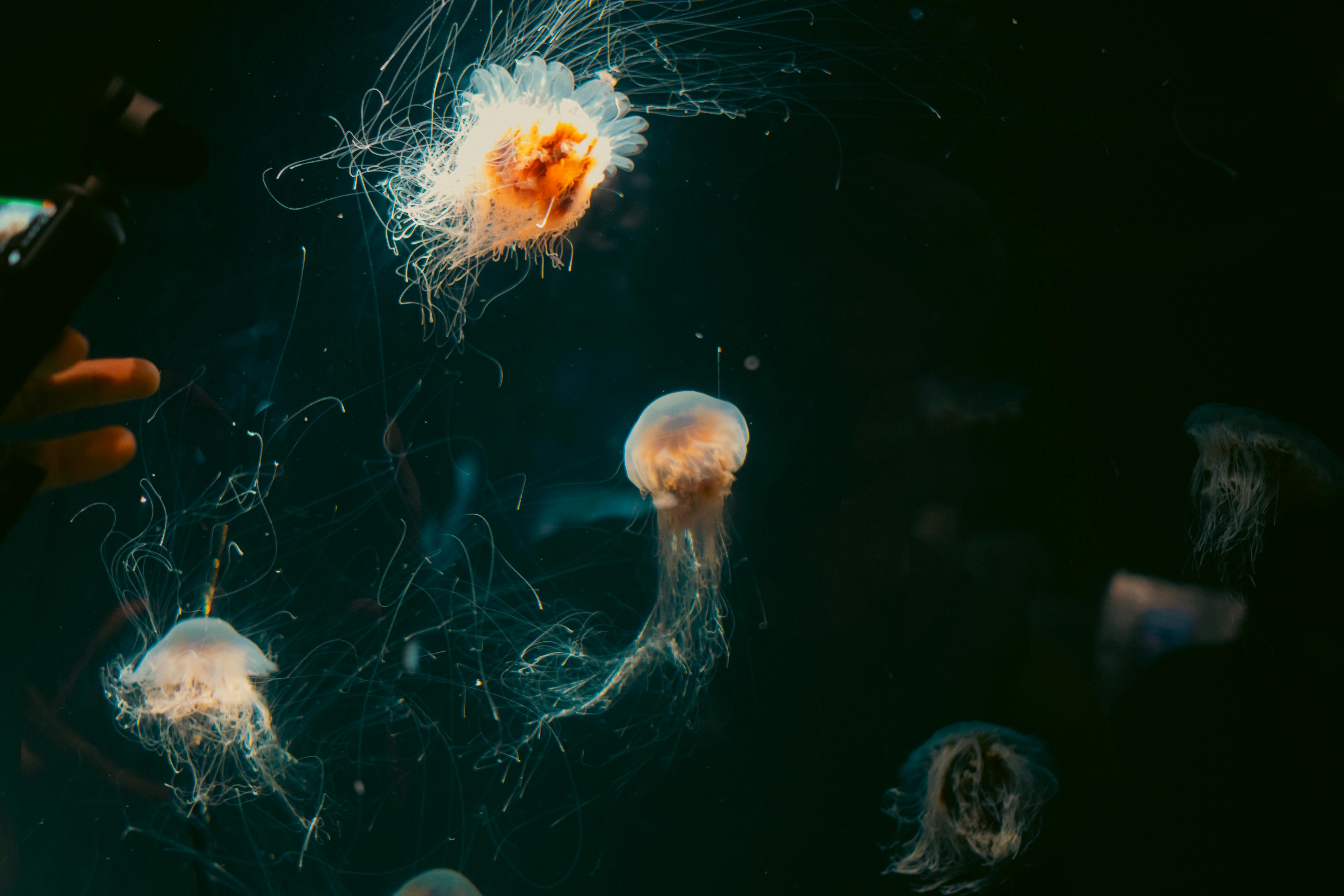 Re 從零開始的異世界生活第四季 最新前導視覺圖與宣傳影片公開 粉絲期待值爆表