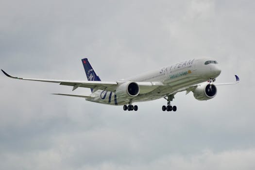 Aereo della Vietnam Airlines con livrea SkyTeam in volo sotto cieli nuvolosi.