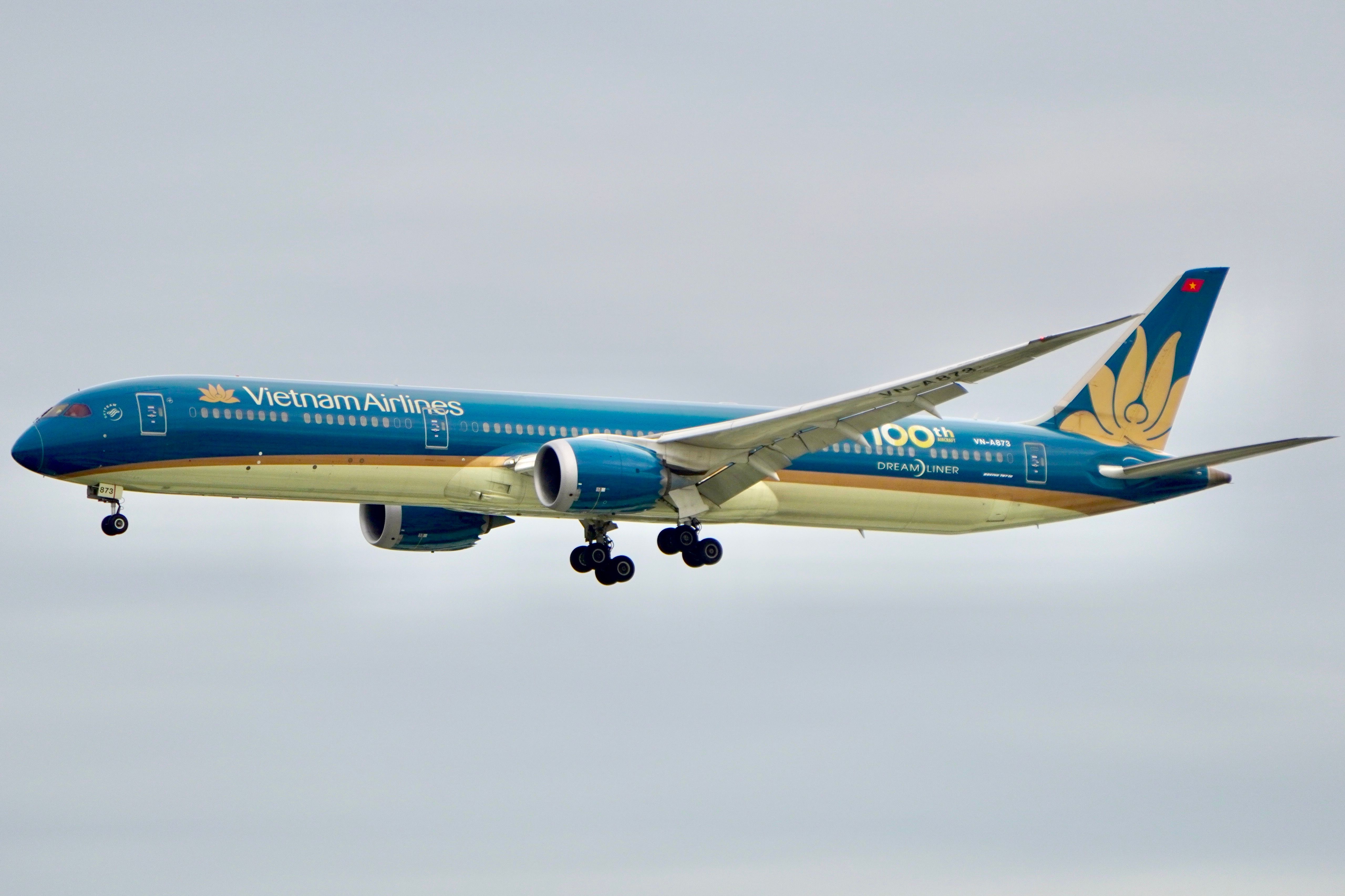 6 Best Ways To Use 100,000 American Airlines Miles For Maximum Value — Photo by Tuan Vy  Spotter on Pexels