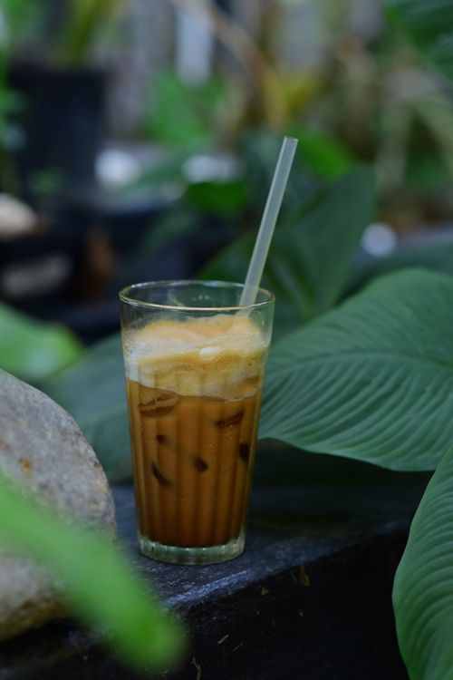 Free A glass of iced coffee with a straw amidst lush green leaves in a garden. Stock Photo