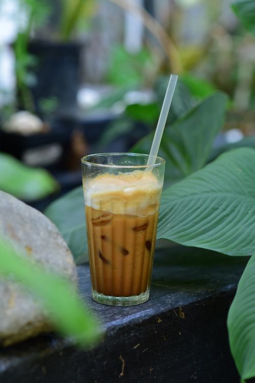 Free Chilled iced coffee with frothy top in garden setting with lush green leaves. Stock Photo