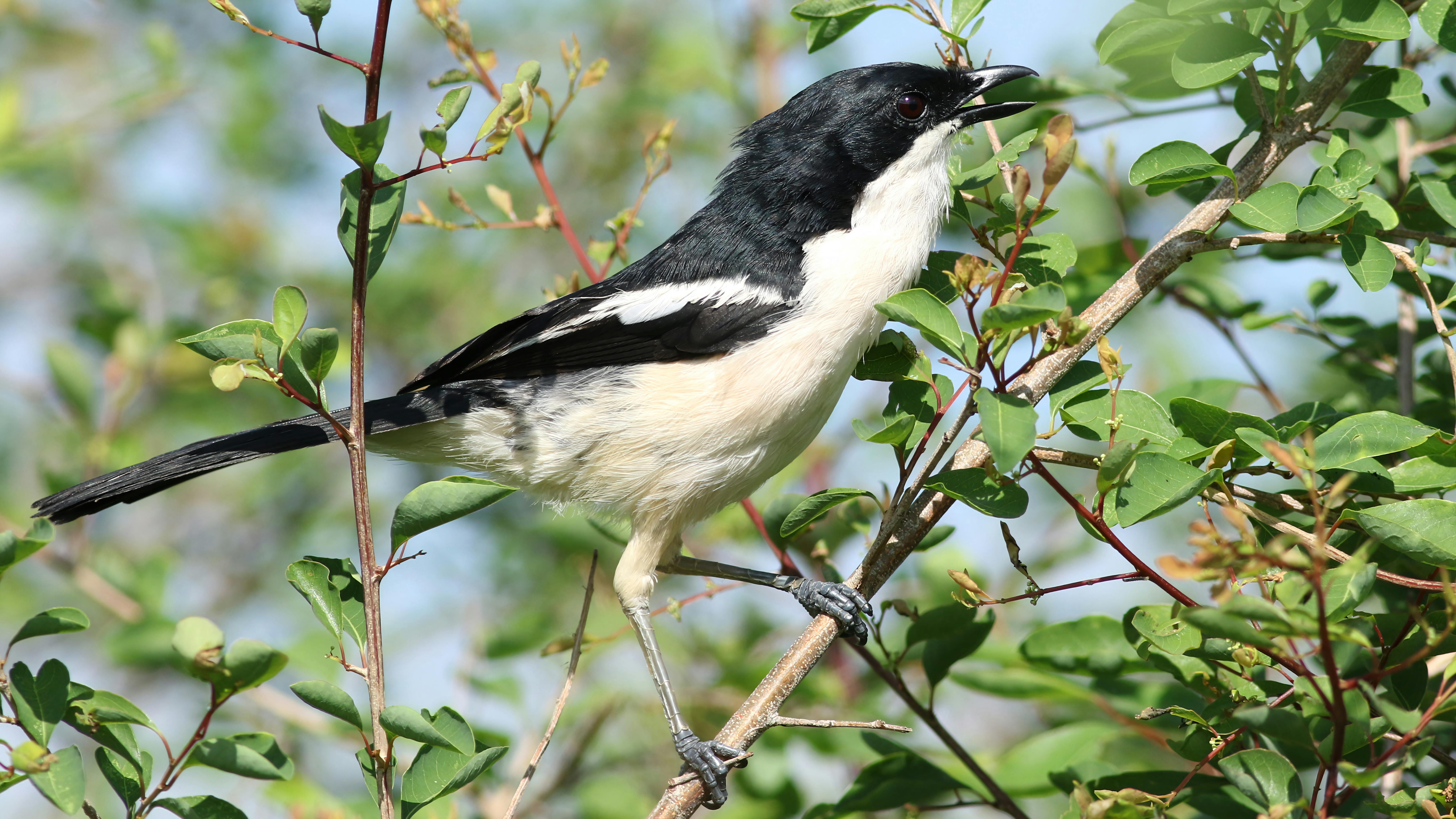 Landmarks in Hwange National Park