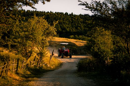 A scenic view of a tractor on a dirt path surrounded by lush greenery at sunset.