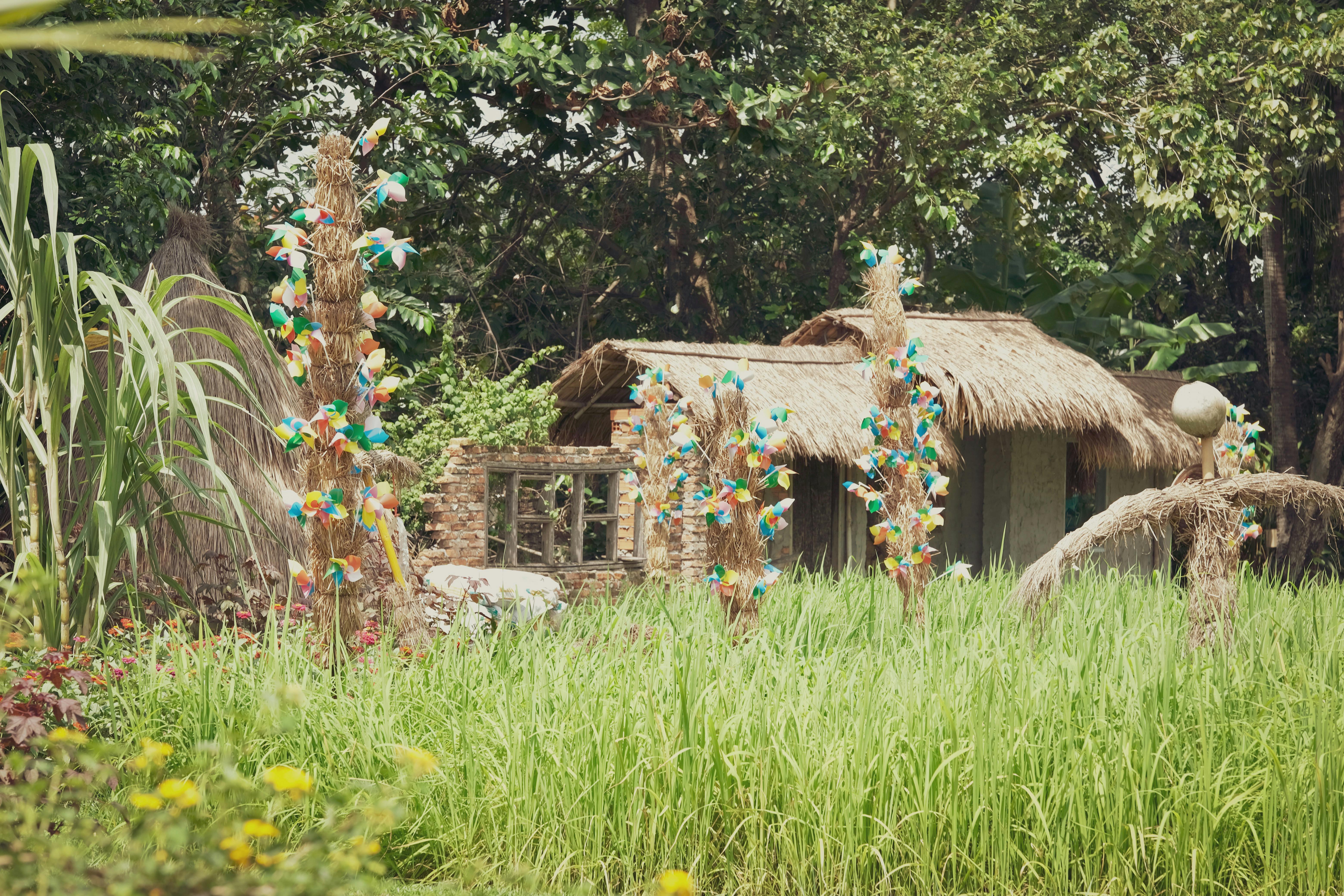 Innovative Trends in Eco-Friendly Housing