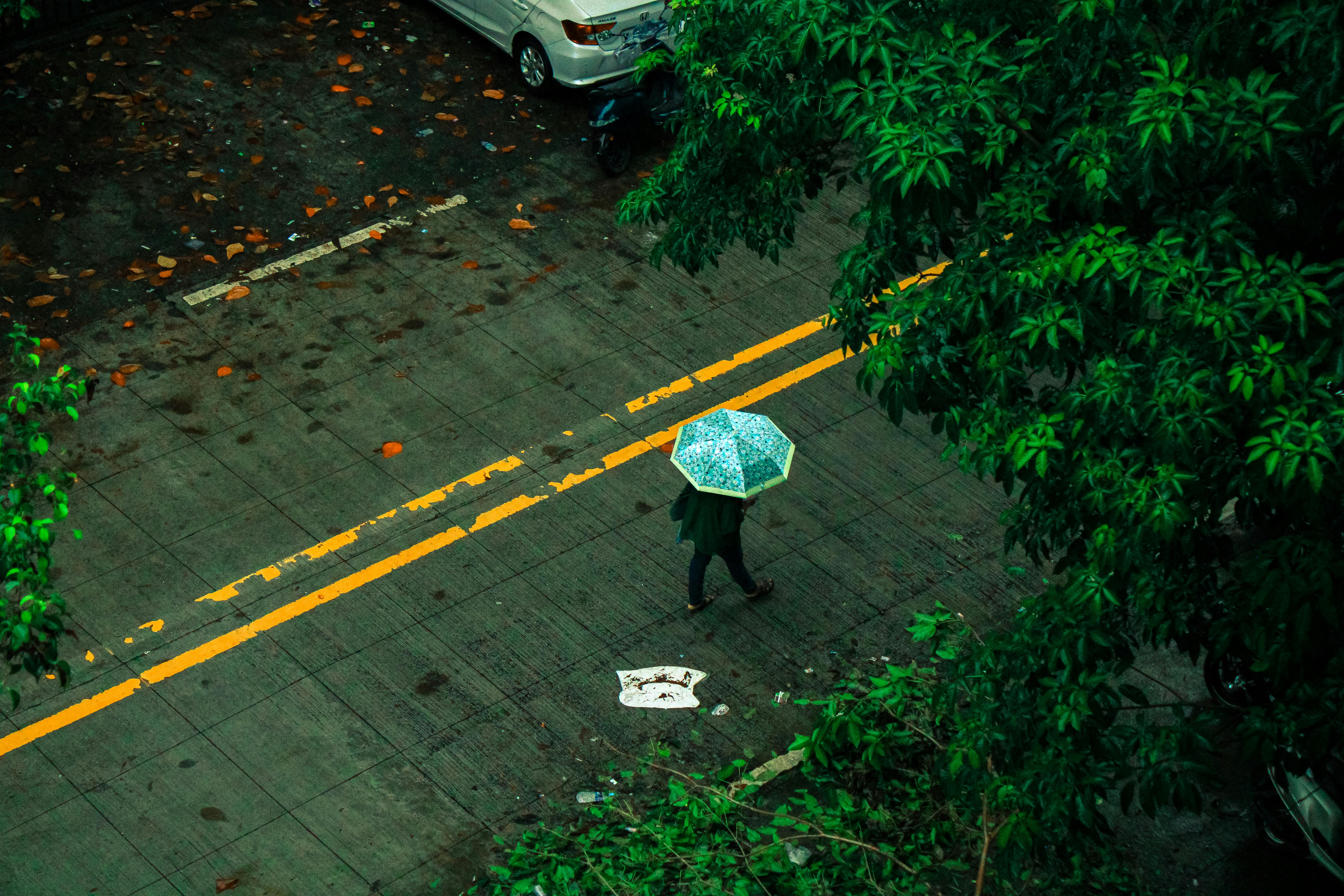 無料 アドビライトルーム, オーバーヘッドショット, カラフルな傘の無料の写真素材 写真素材