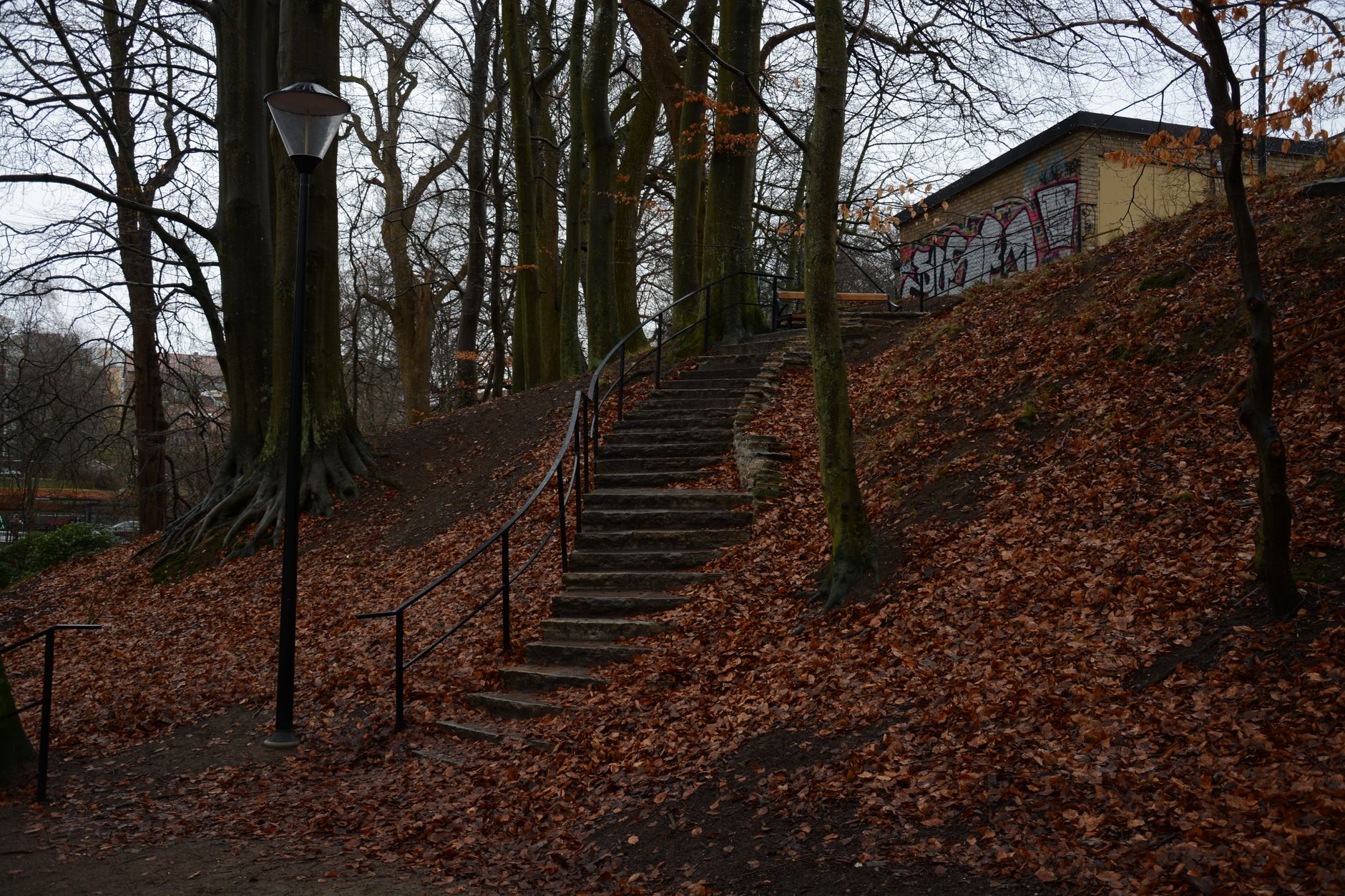 A serene autumn scene with leaf-covered steps in a wooded park area, featuring graffiti.