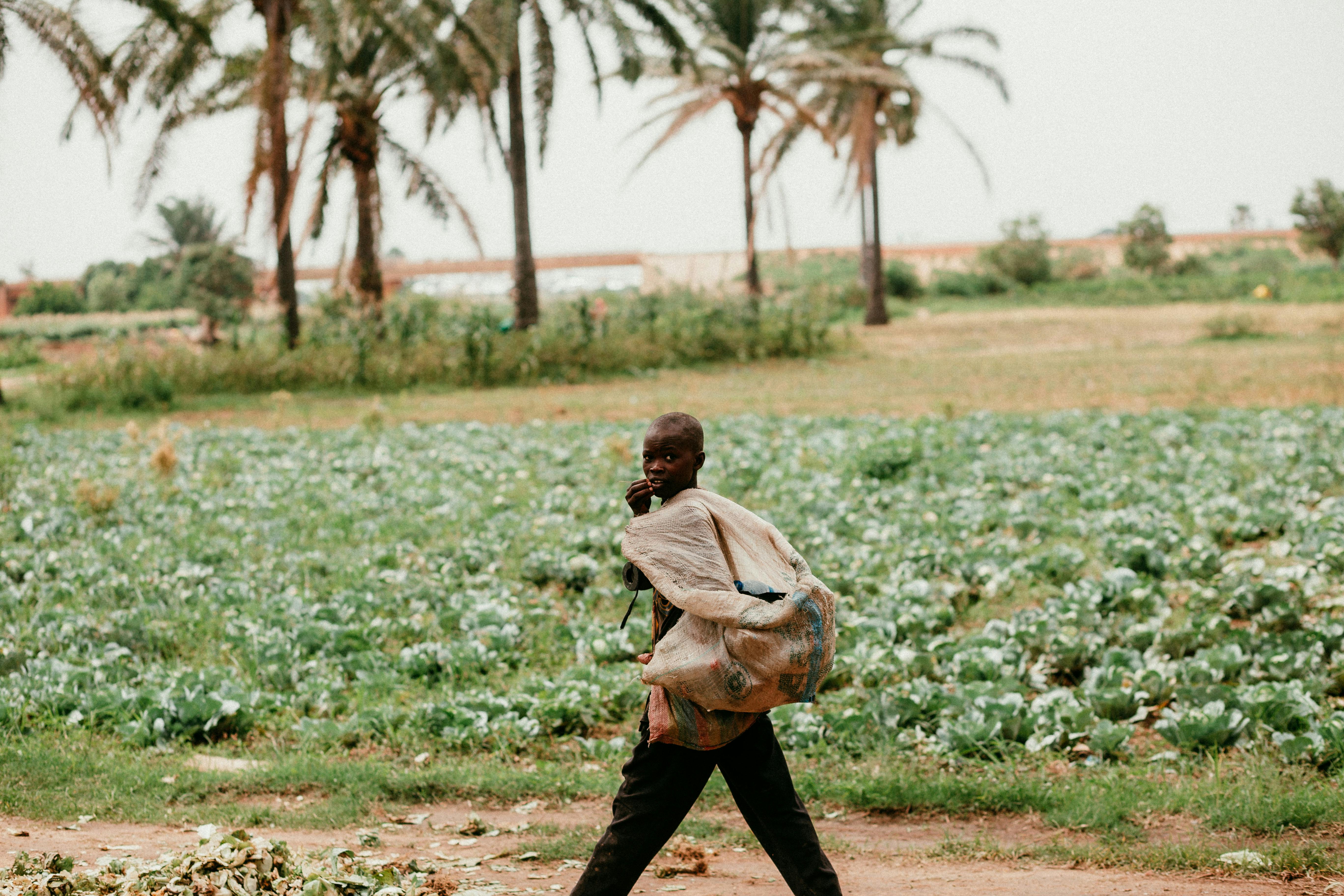 Bridging Africa’s health financing gap: The case for remittance-based insurance — Photo by Ogenyi Pictures on Pexels