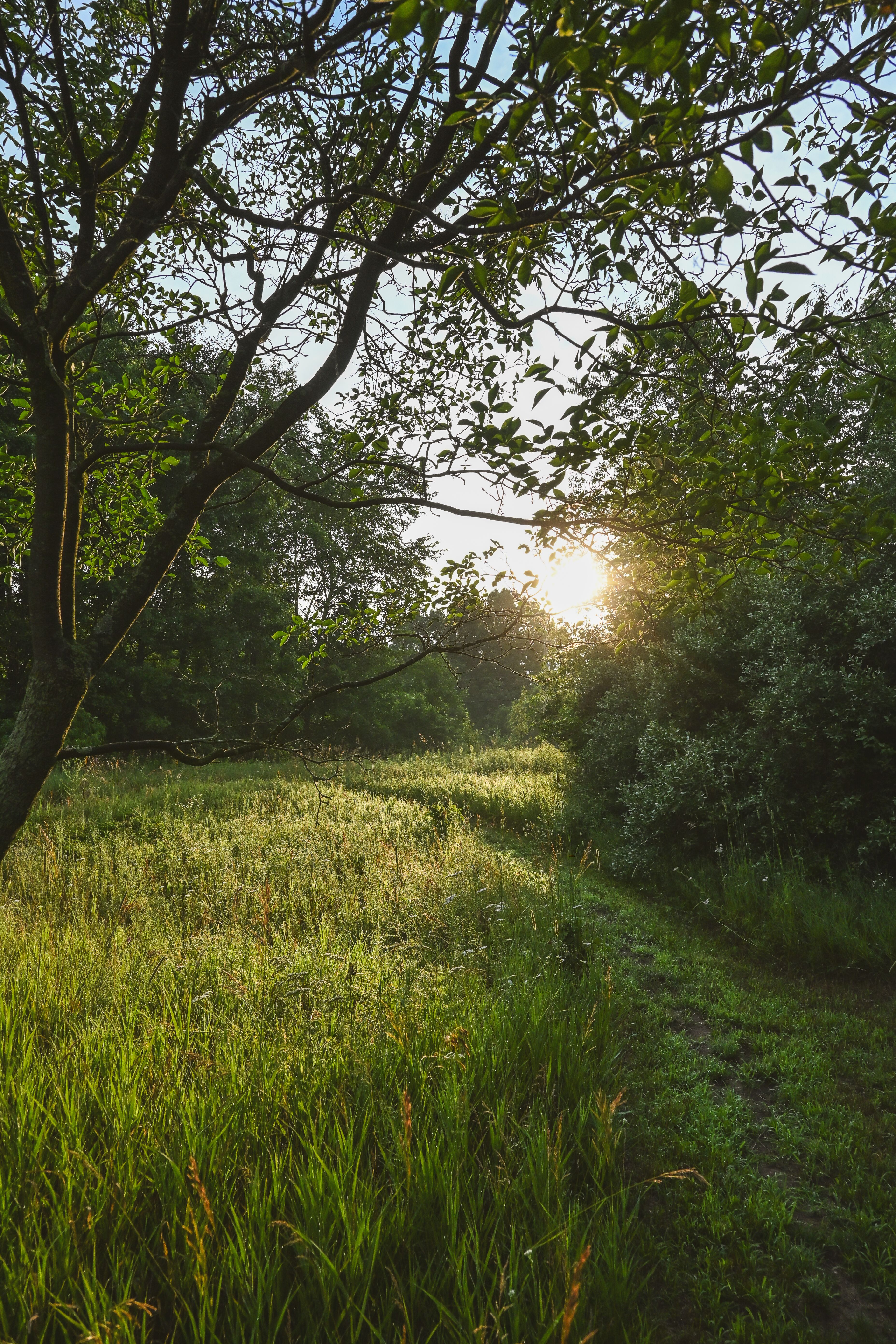Serene Sunrise in the American Countryside · Free Stock Photo
