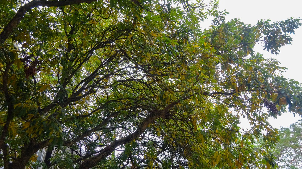 E2 | 1947 – Liên Hợp Quốc và Partition Plan Palestine (Đang hoàn thiện)