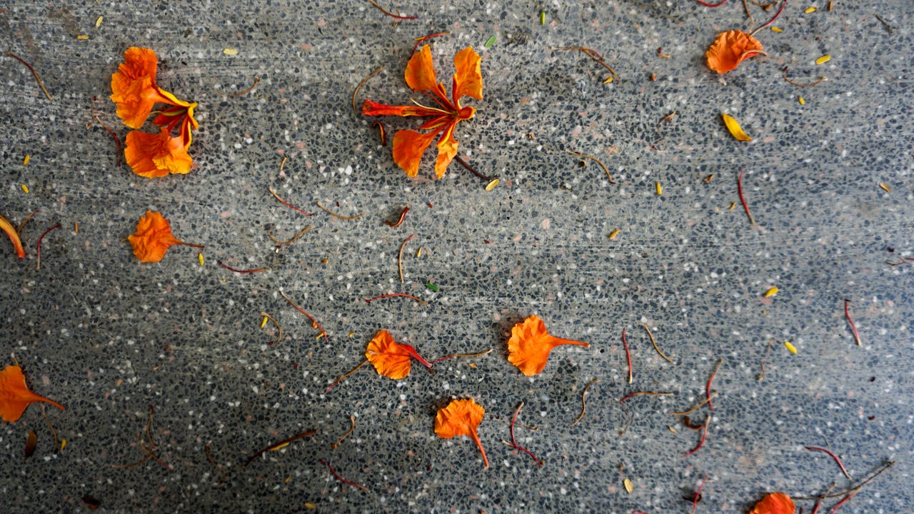 Độ phân giải in ấn trong nhiếp ảnh