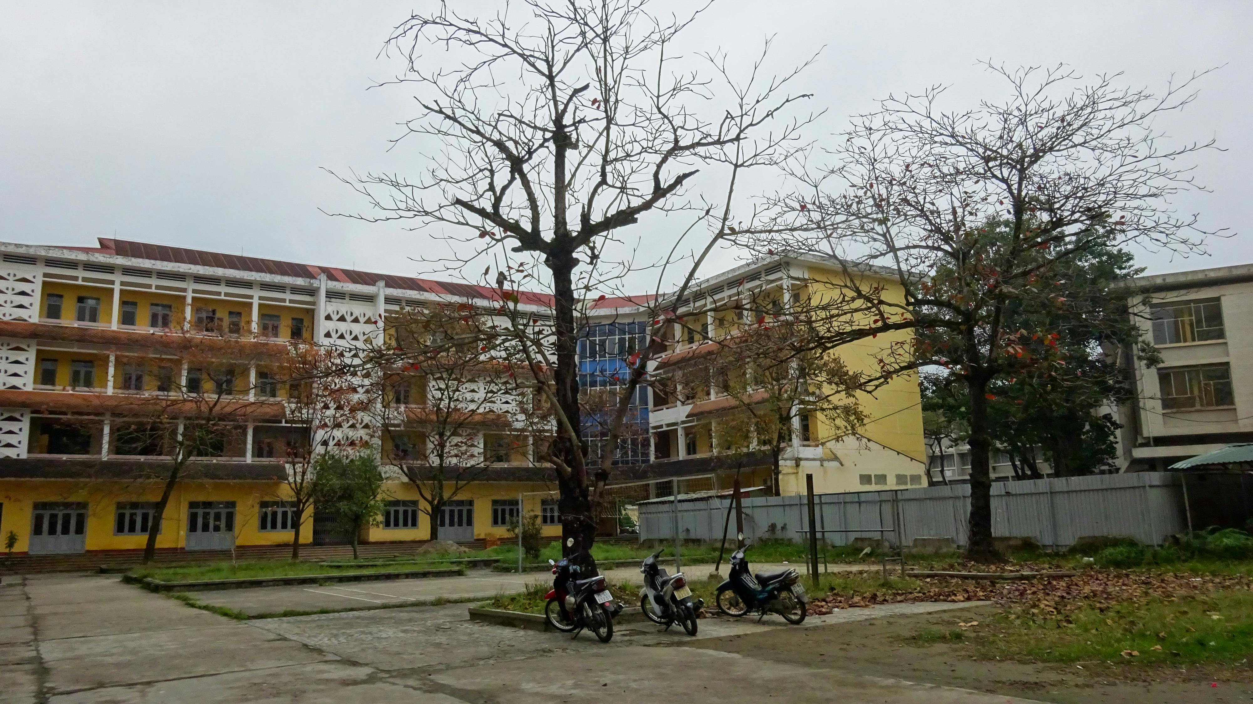 Làm thế nào để trở thành nhà văn?