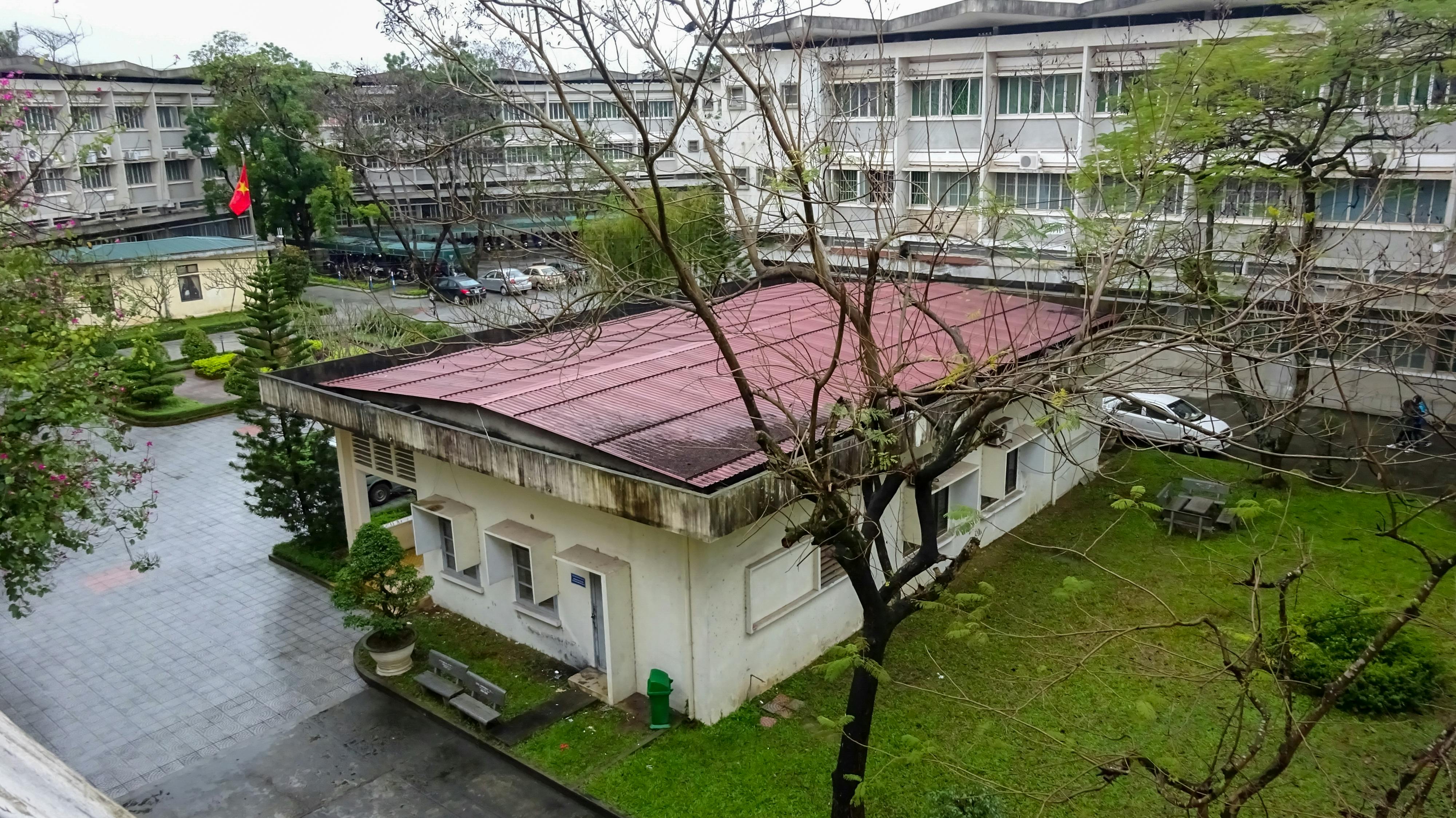 Chó mèo có bị trầm cảm không?