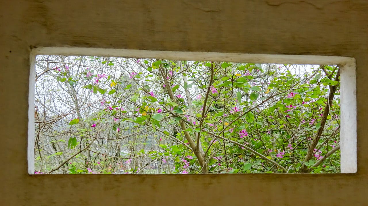 Thám tử lừng danh Conan | Chương 0857