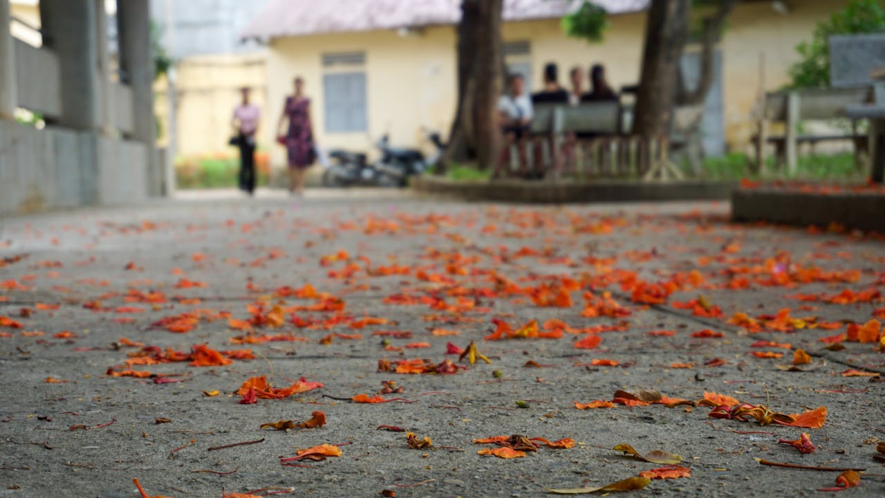 Gián điệp mạng | Chương 29