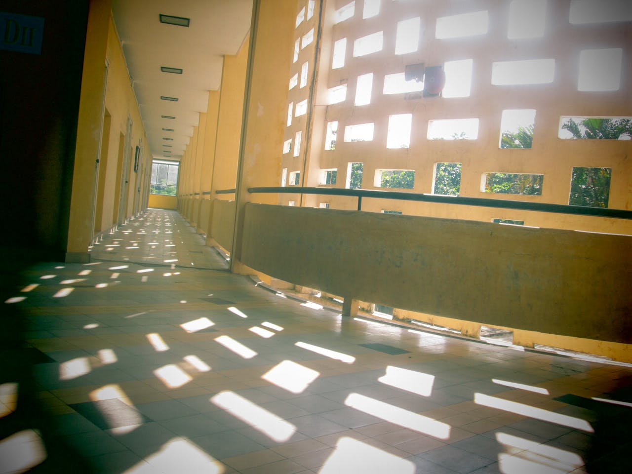 Chim lửa | Chương 05