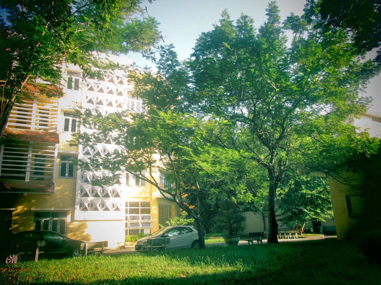 Hiểu biết và ứng dụng chuyên sâu của khẩu độ trong nhiếp ảnh