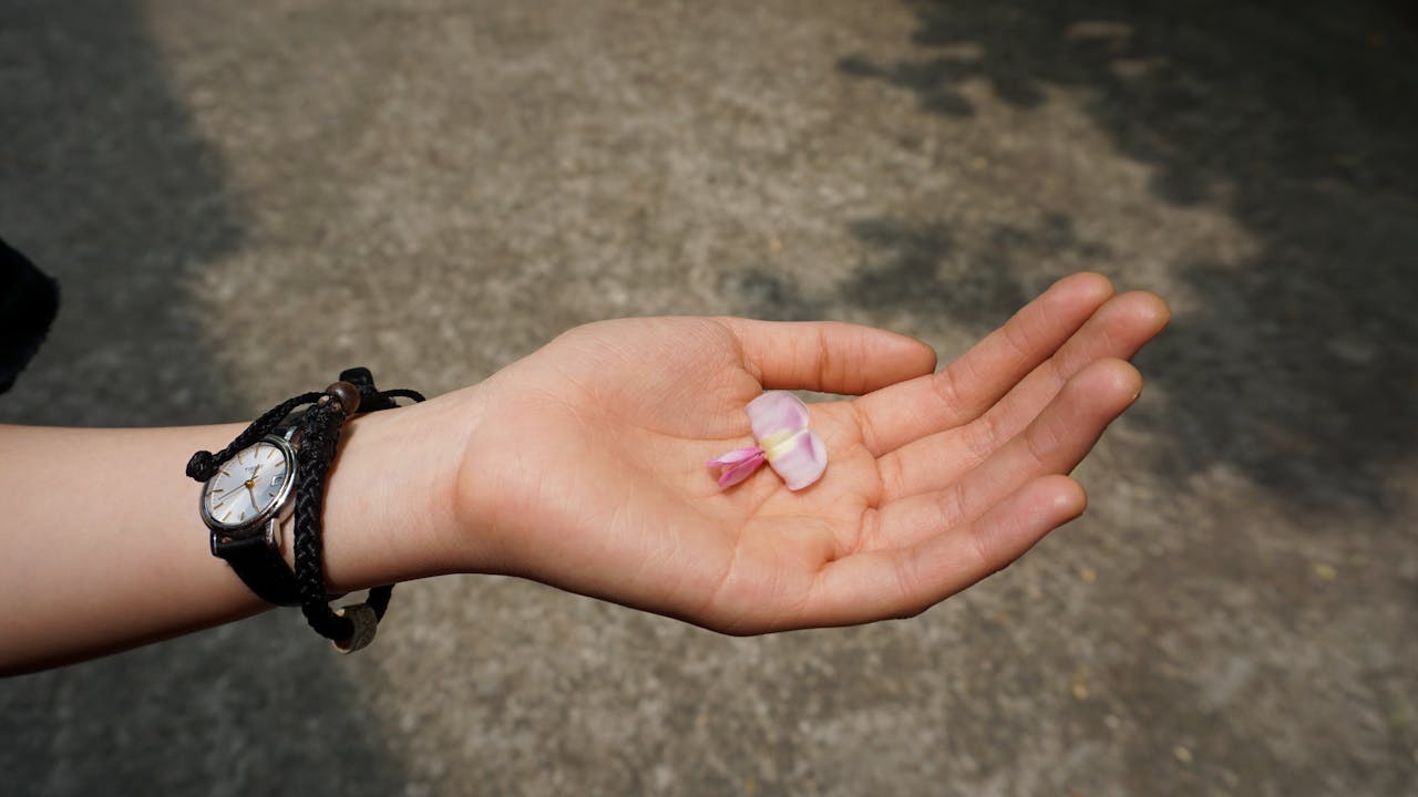 Cà phê bóng râm bảo tồn đa dạng sinh học