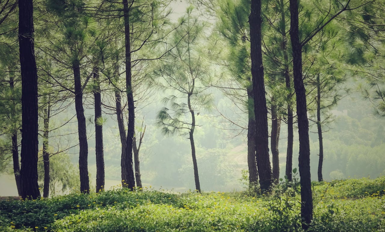 Hiểu về trái tim | Chương 07