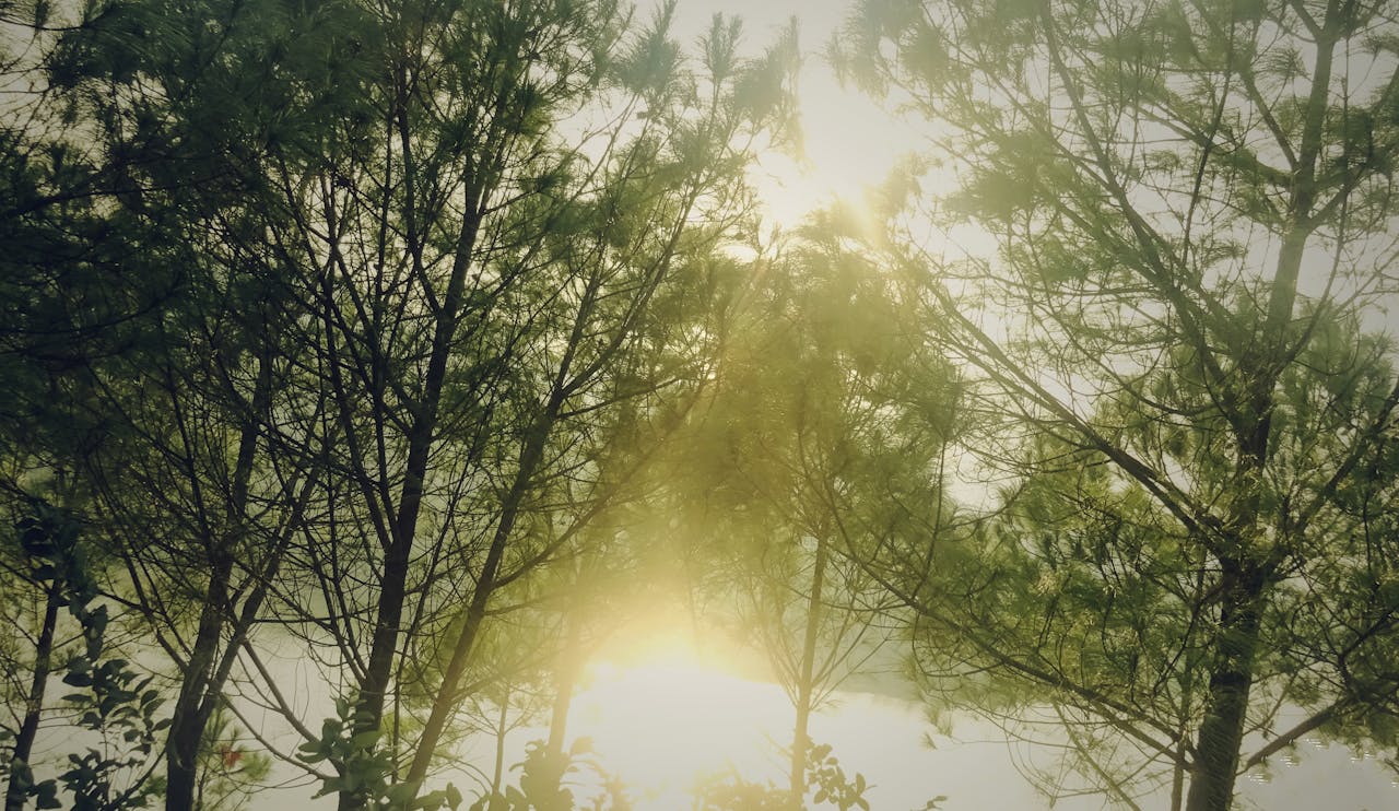 Những cuốn sách yêu thích của J.G. Ballard