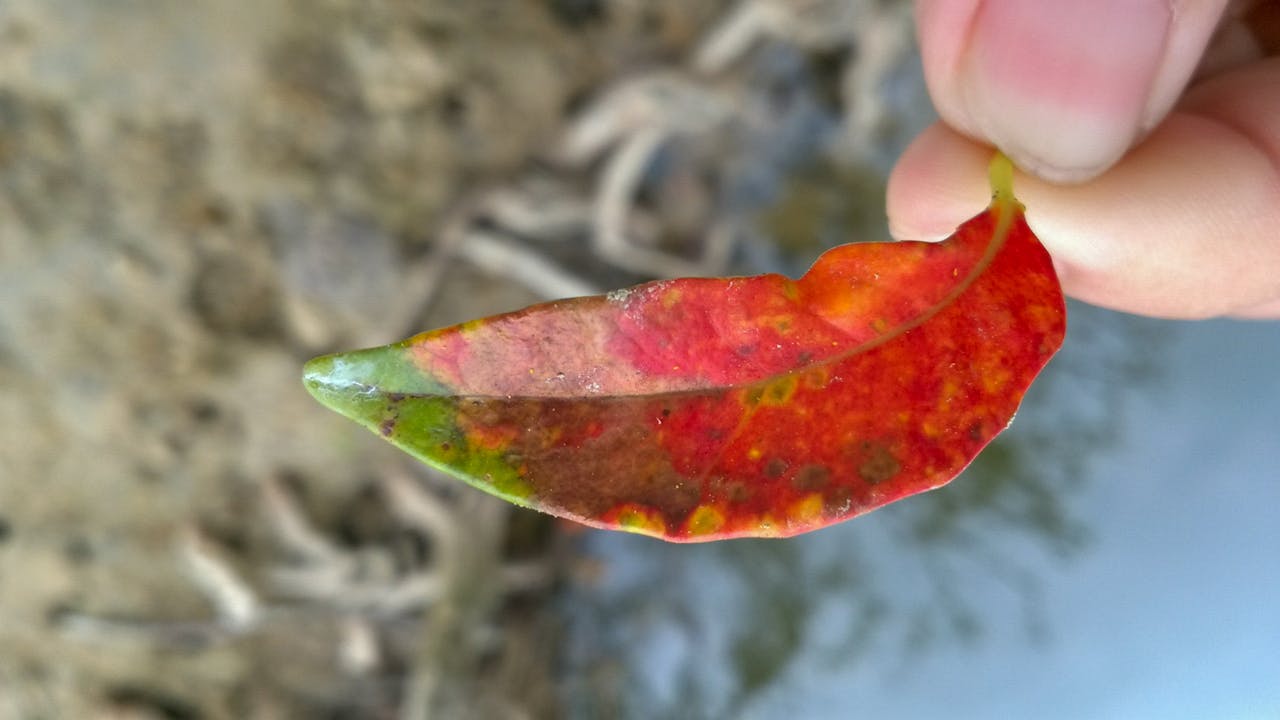 Mở rộng khách hàng tối ưu doanh thu khách sạn