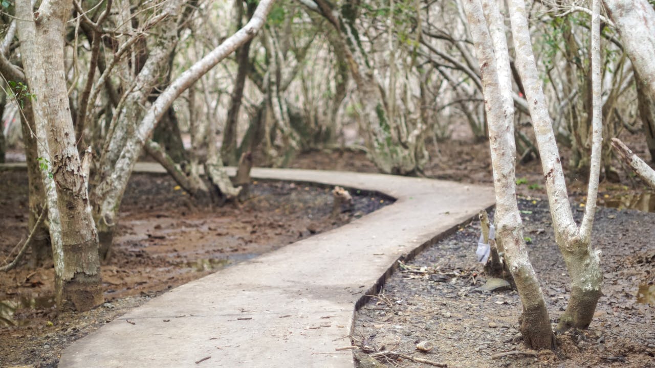 Thám tử lừng danh Conan | Chương 0306