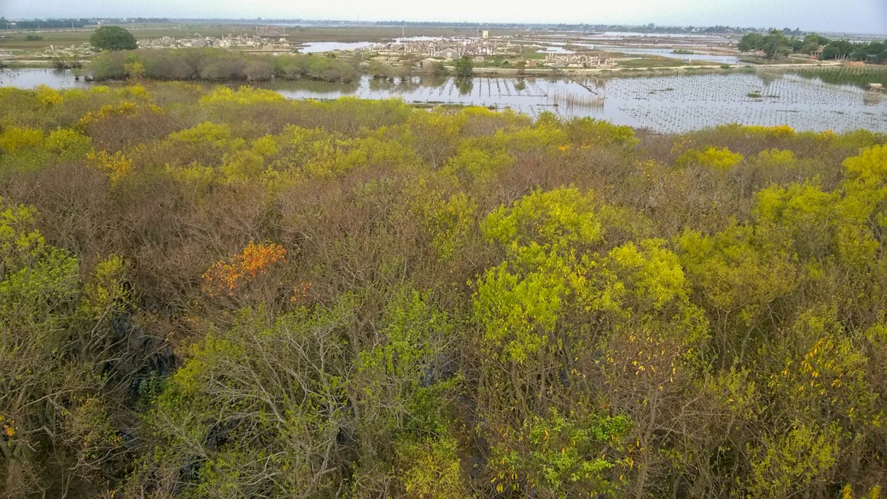 Thám tử lừng danh Conan | Chương 0717