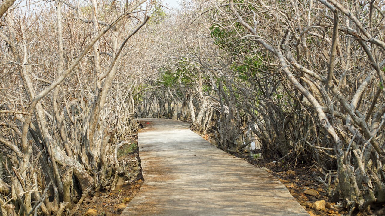 Đêm hoài phố hội