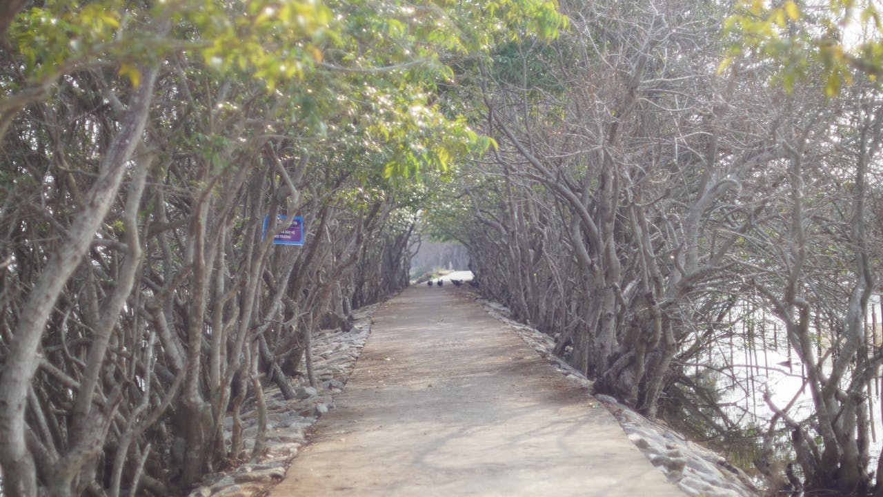 Cẩm nang du lịch Mũi Né